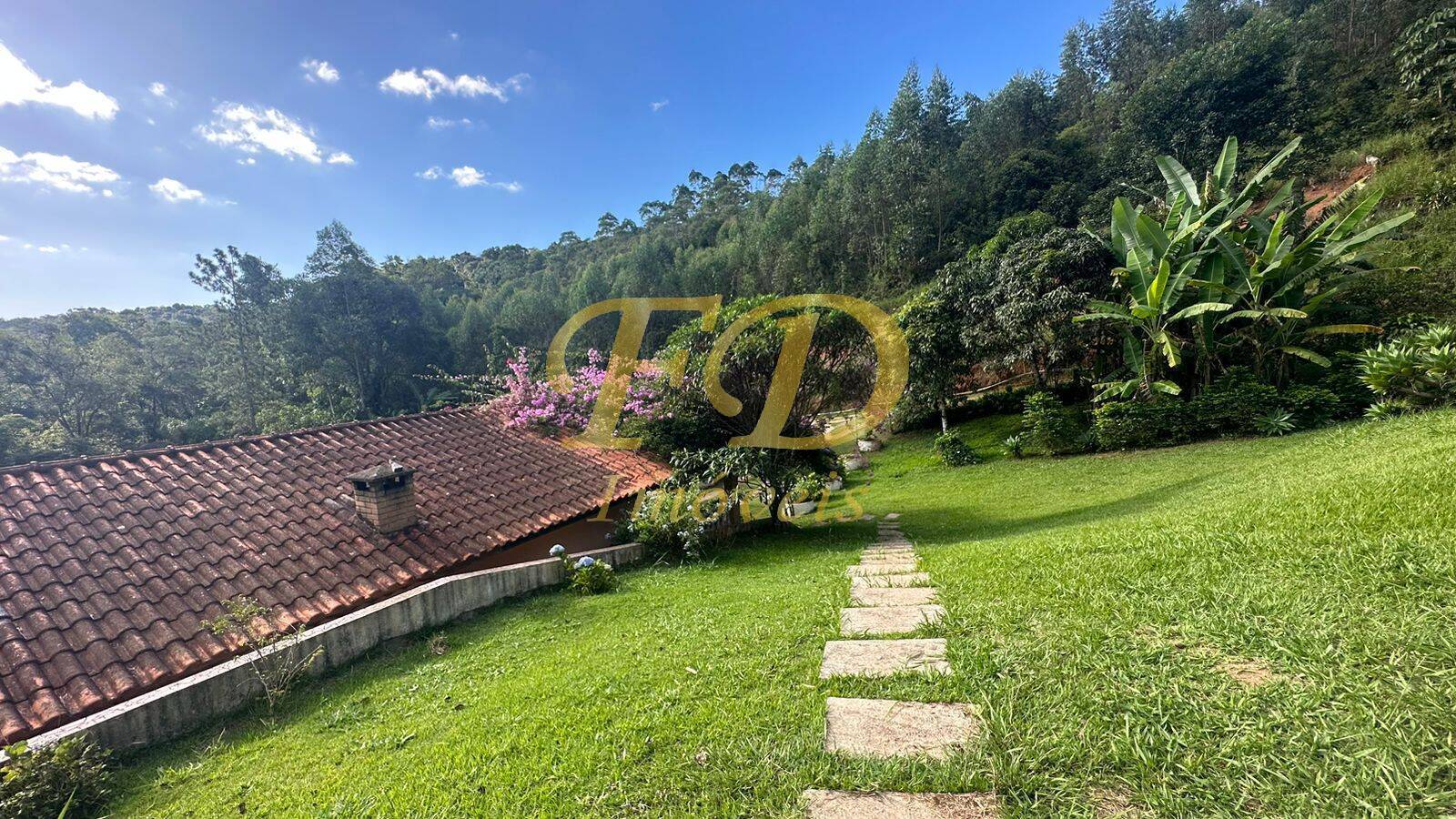 Fazenda à venda com 3 quartos, 600m² - Foto 10