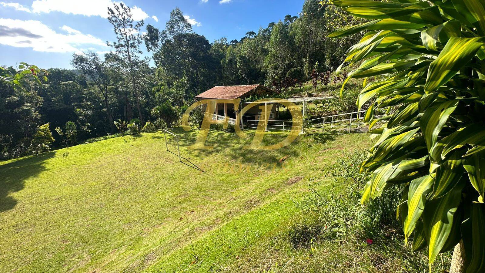 Fazenda à venda com 3 quartos, 600m² - Foto 38