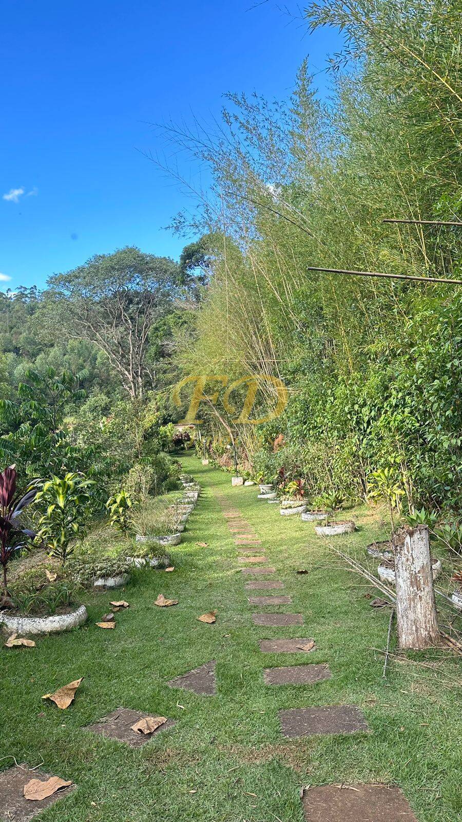 Fazenda à venda com 3 quartos, 600m² - Foto 46