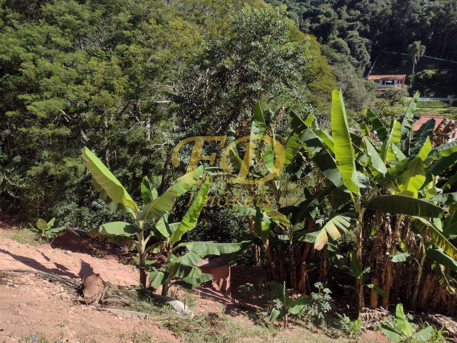 Fazenda à venda com 3 quartos, 322m² - Foto 59