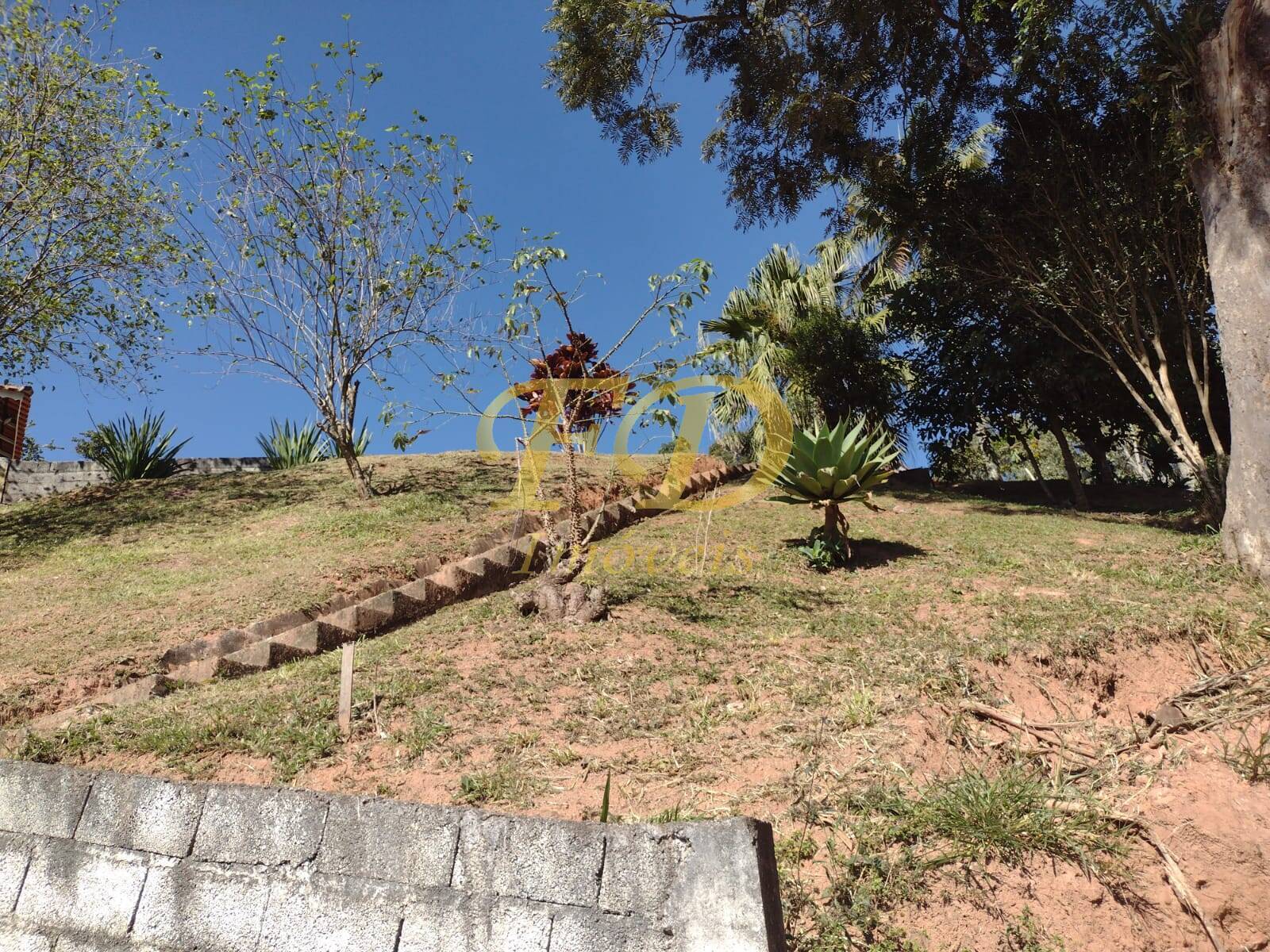 Fazenda à venda com 3 quartos, 322m² - Foto 58