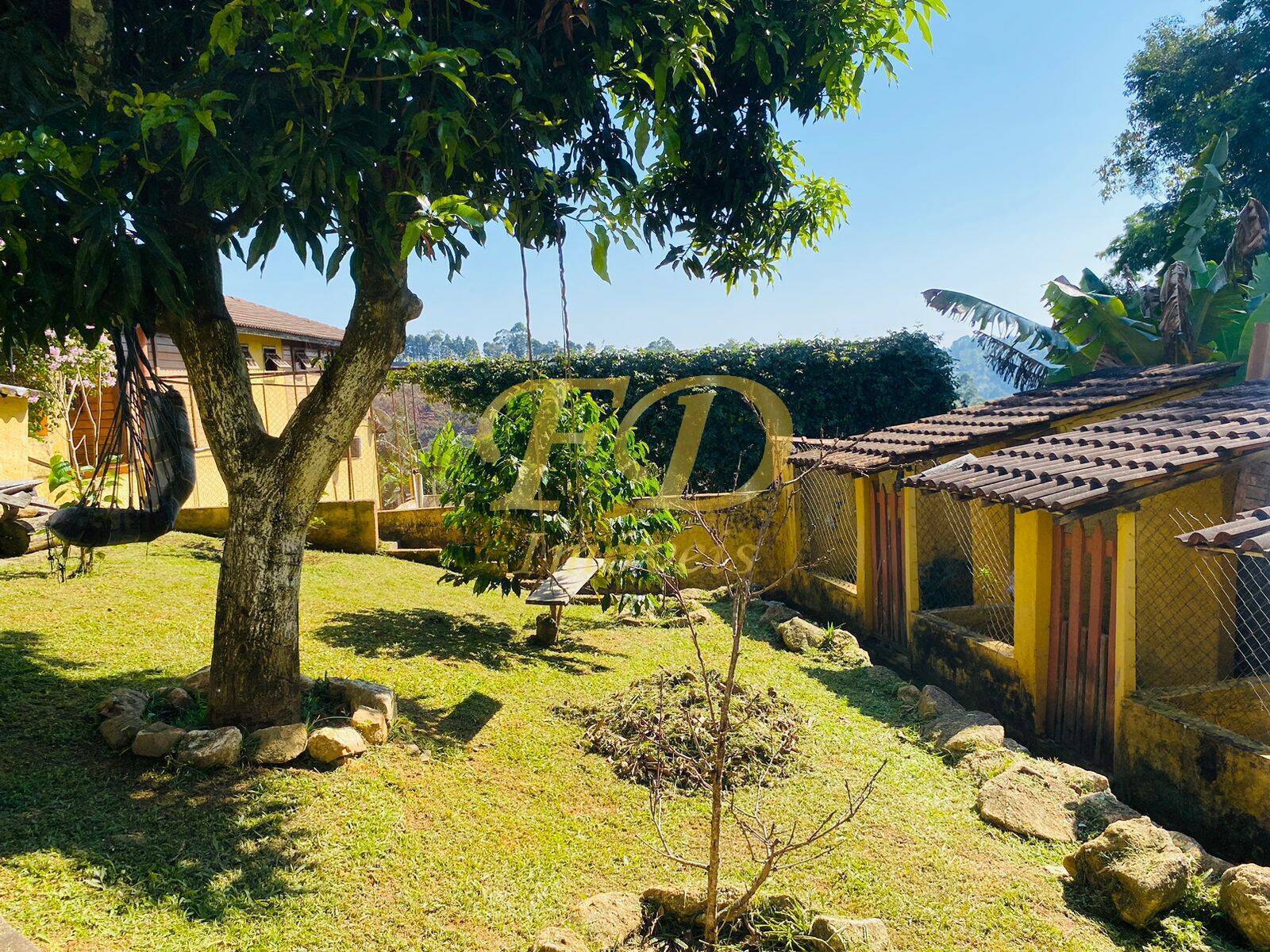 Fazenda à venda com 4 quartos, 350m² - Foto 50