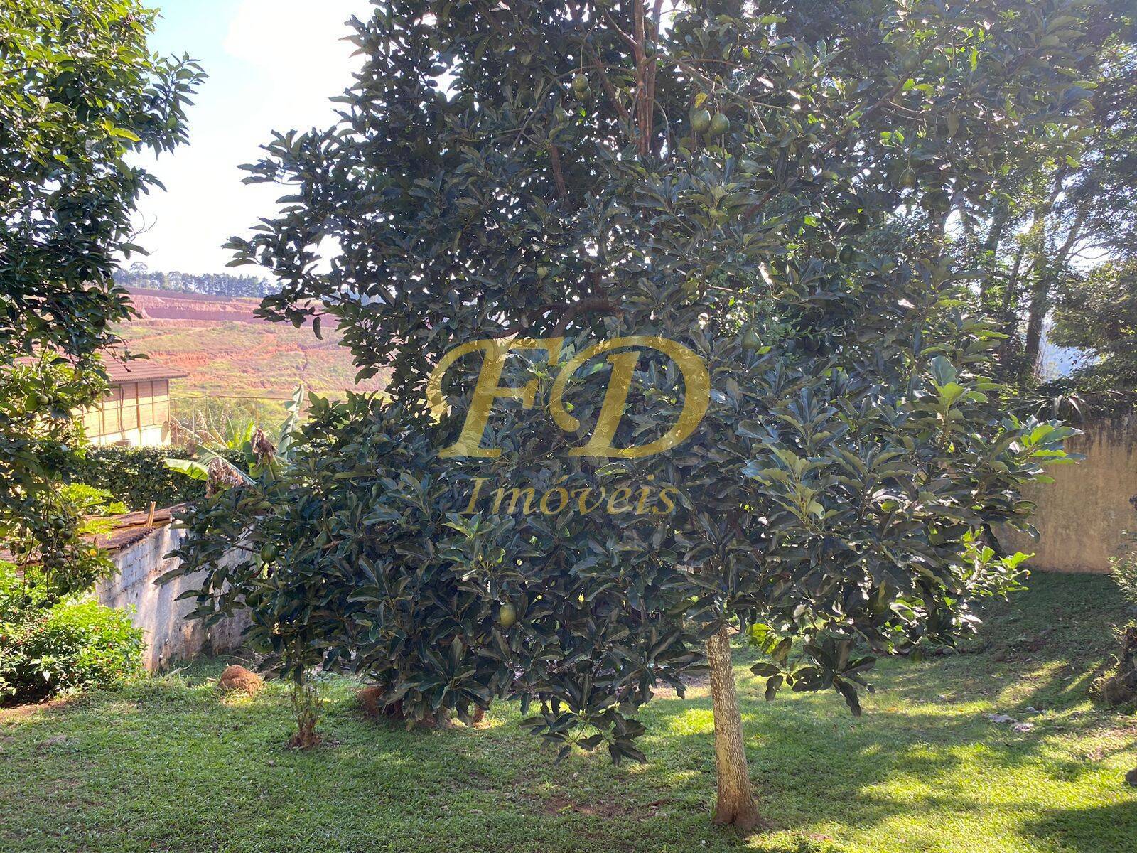 Fazenda à venda com 4 quartos, 350m² - Foto 56