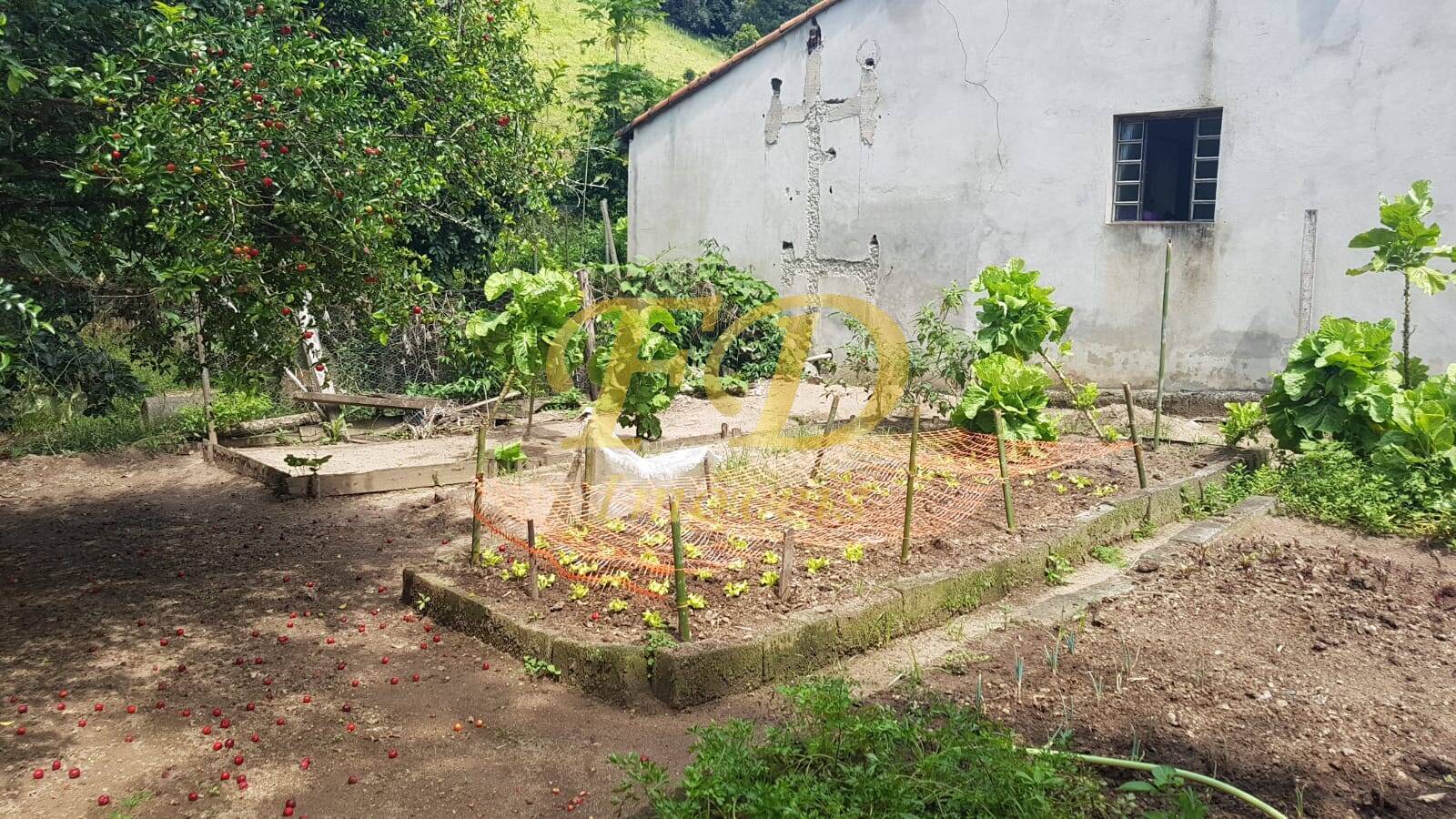 Fazenda à venda com 3 quartos, 12000m² - Foto 16