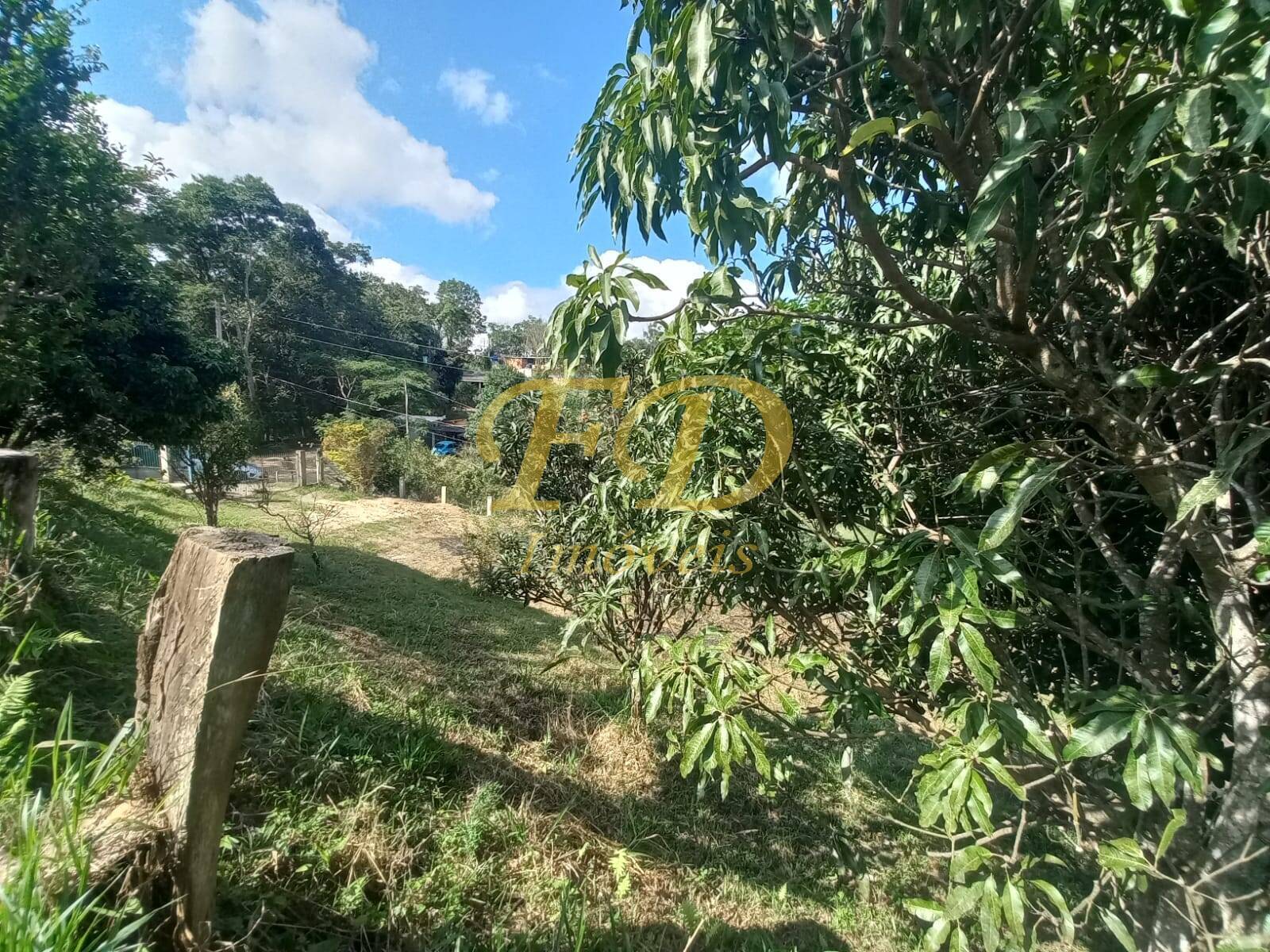 Fazenda à venda com 3 quartos, 140m² - Foto 20