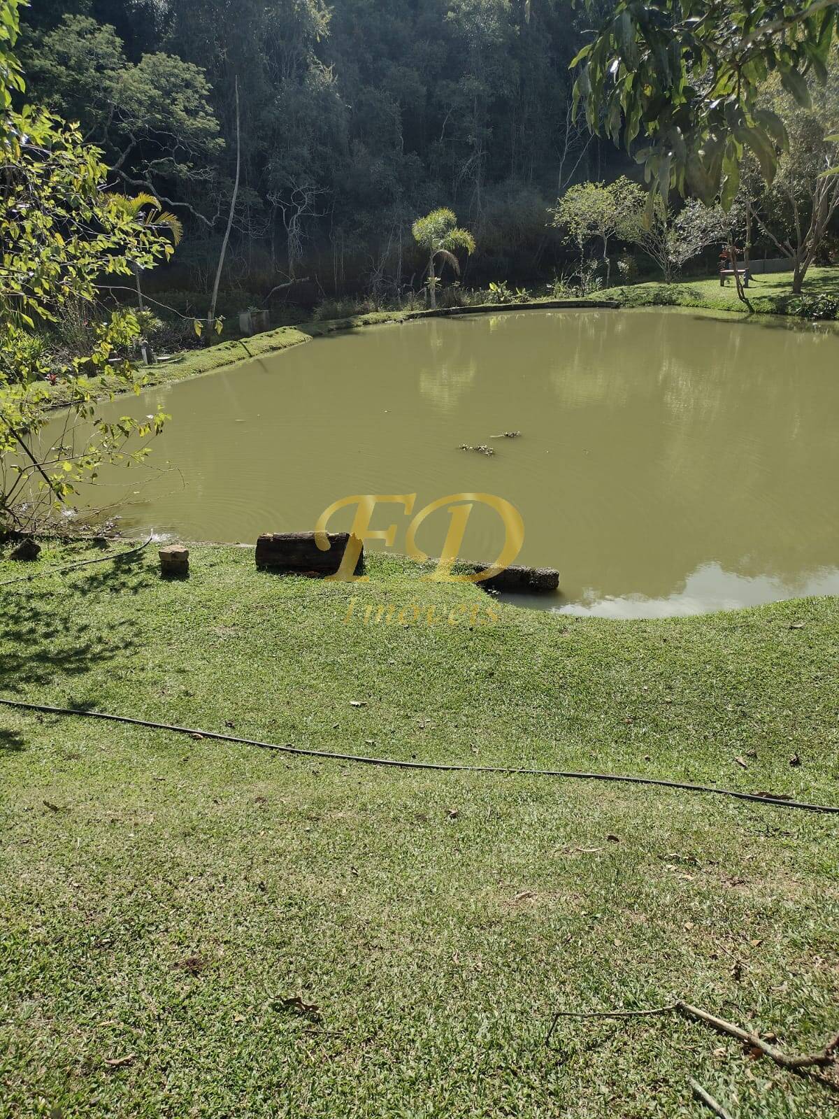 Fazenda à venda com 3 quartos, 90m² - Foto 19