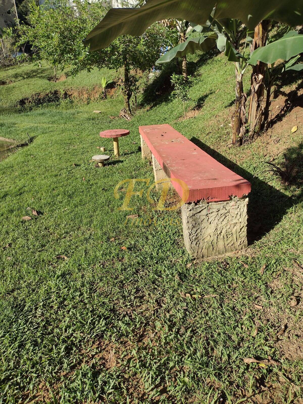 Fazenda à venda com 3 quartos, 90m² - Foto 26