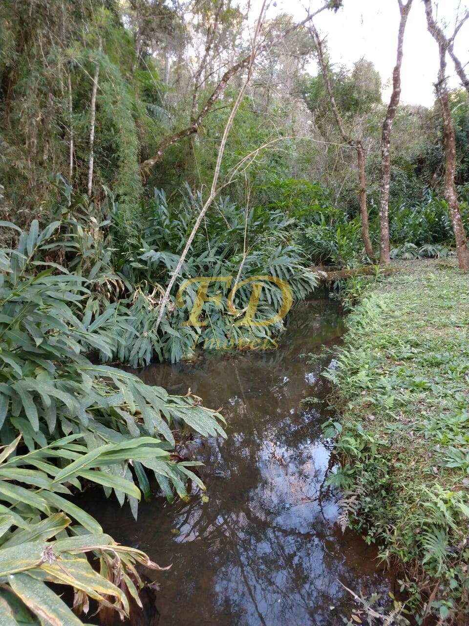 Fazenda à venda com 7 quartos, 1035m² - Foto 6