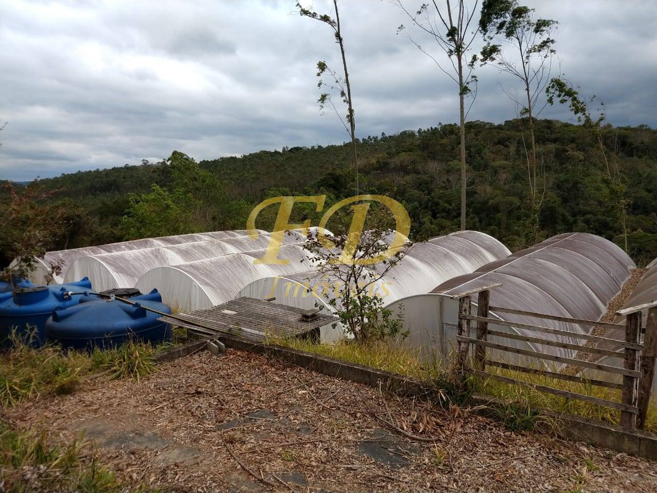 Fazenda à venda com 7 quartos, 1035m² - Foto 14