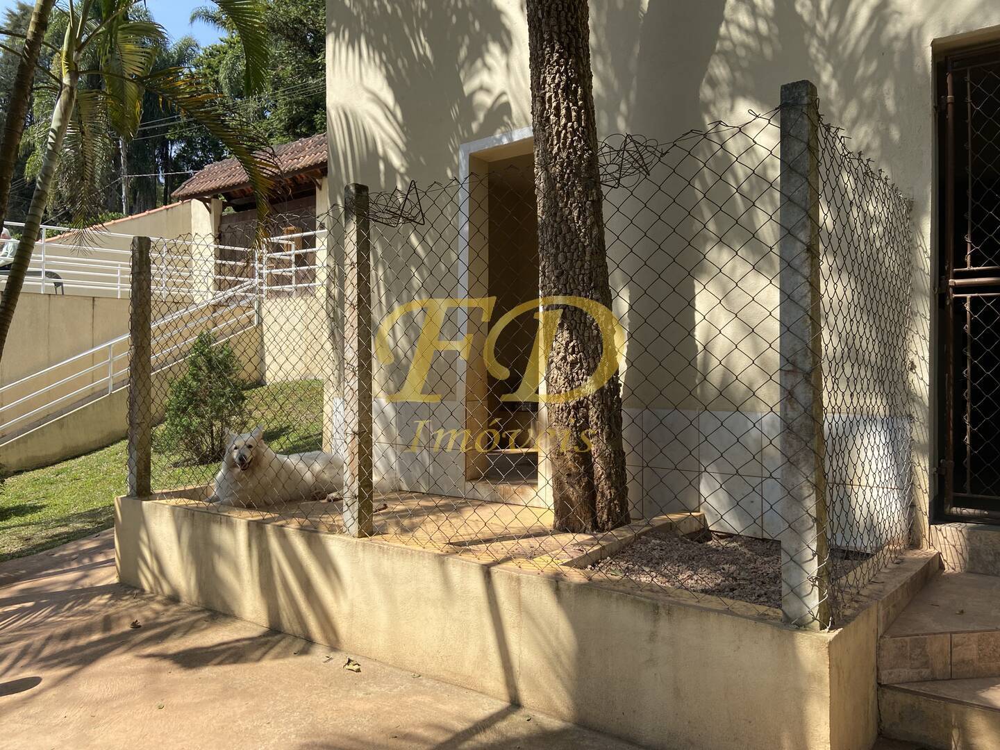 Fazenda à venda com 3 quartos, 500m² - Foto 24