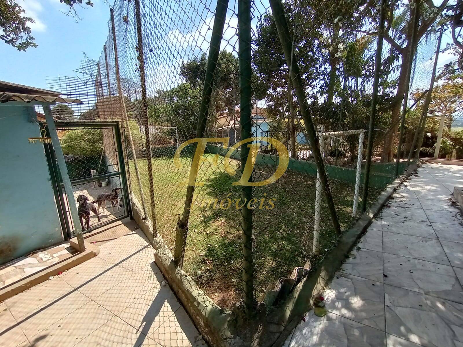 Fazenda à venda com 3 quartos, 300m² - Foto 39