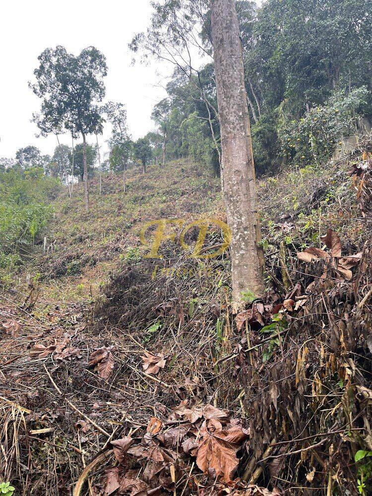 Terreno à venda, 2500m² - Foto 4