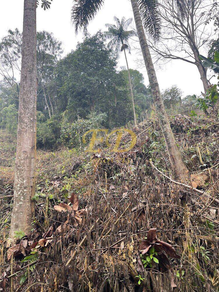 Terreno à venda, 2500m² - Foto 5