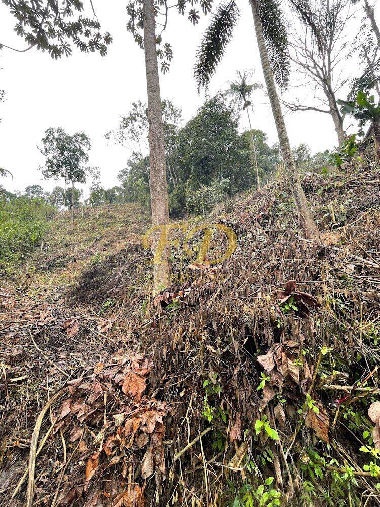 Terreno à venda, 2500m² - Foto 6