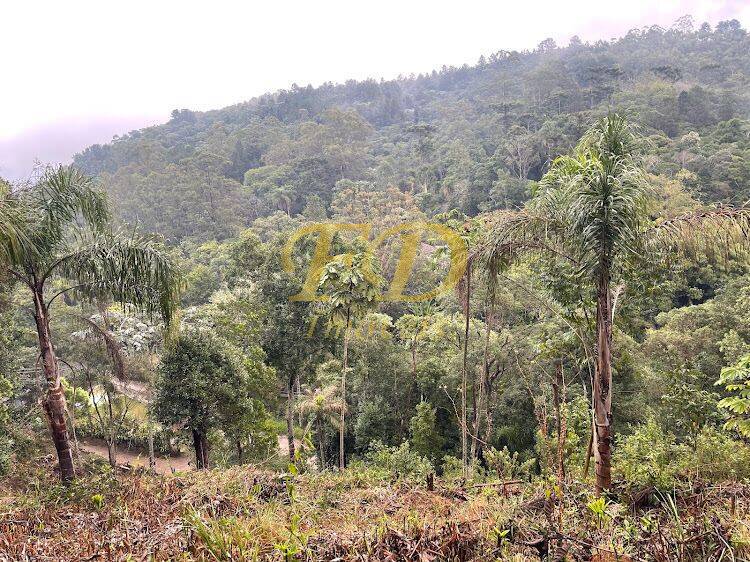 Terreno à venda, 2500m² - Foto 13