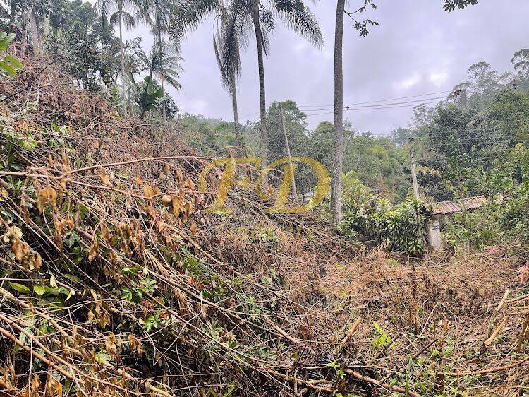 Terreno à venda, 2500m² - Foto 10