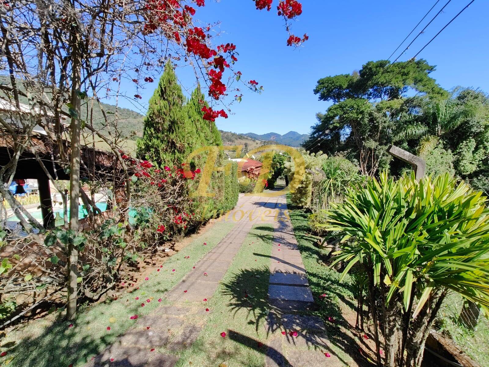 Fazenda à venda com 3 quartos, 500m² - Foto 2