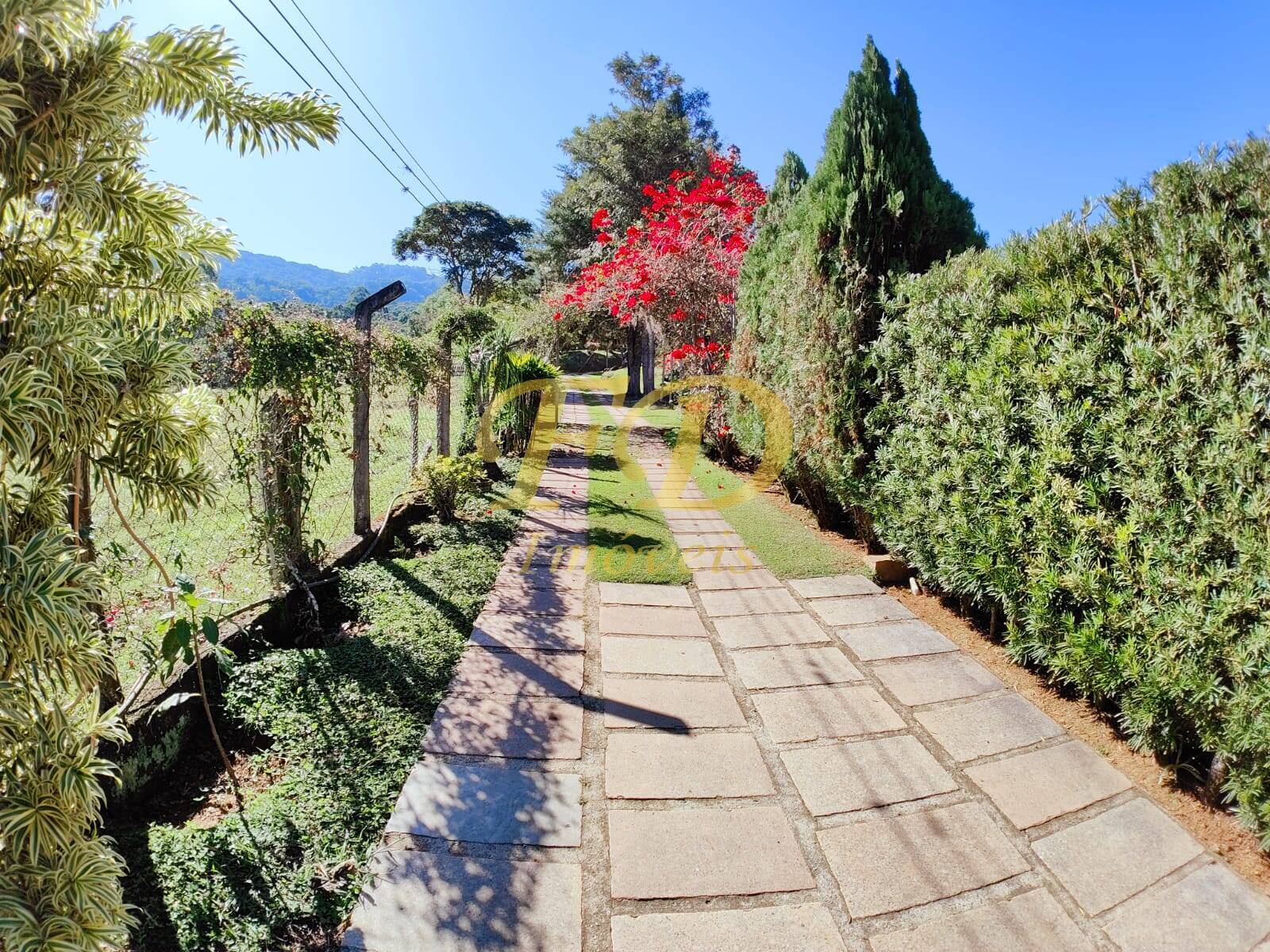 Fazenda à venda com 3 quartos, 500m² - Foto 4