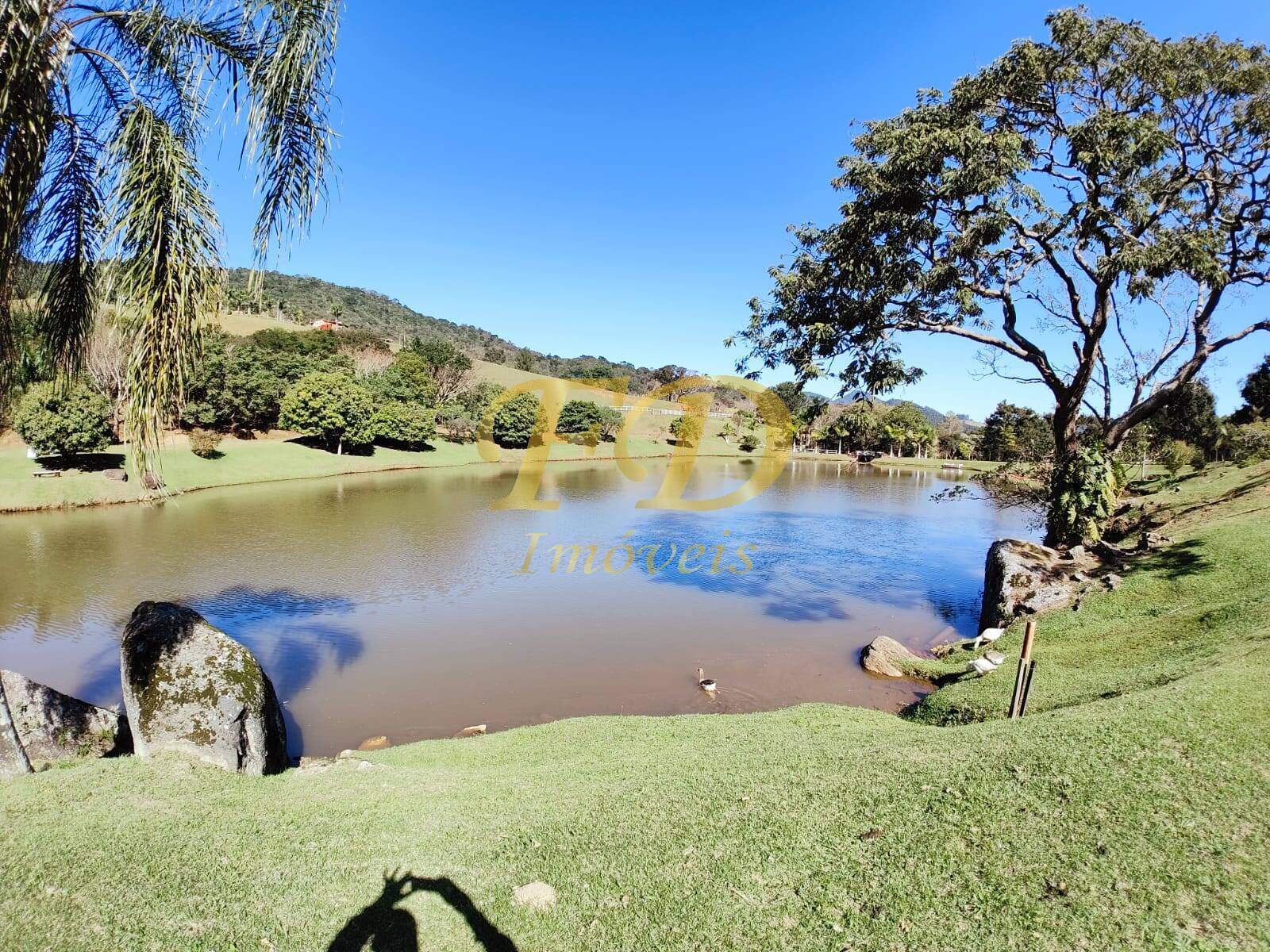 Fazenda à venda com 3 quartos, 500m² - Foto 8