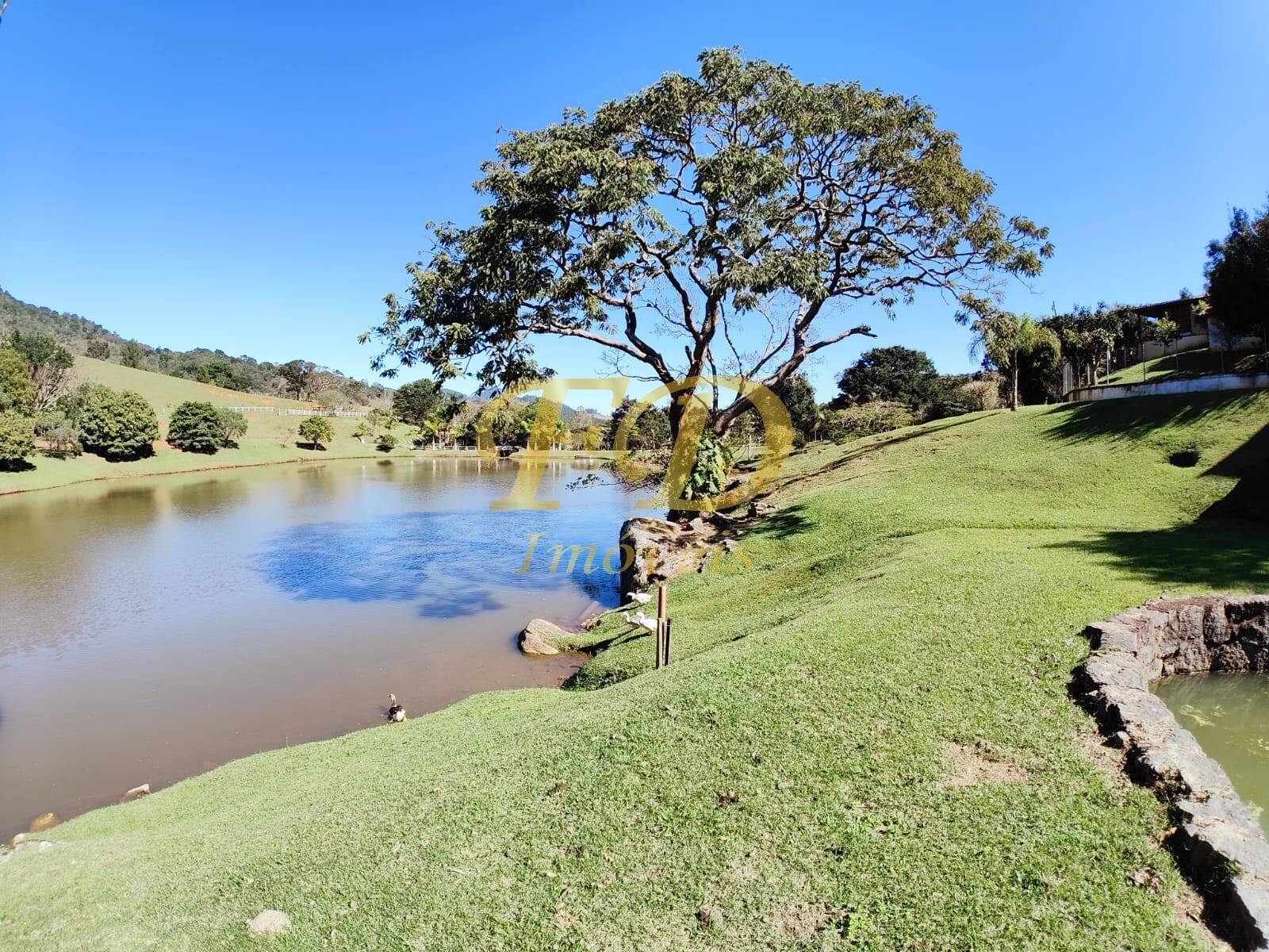 Fazenda à venda com 3 quartos, 500m² - Foto 9