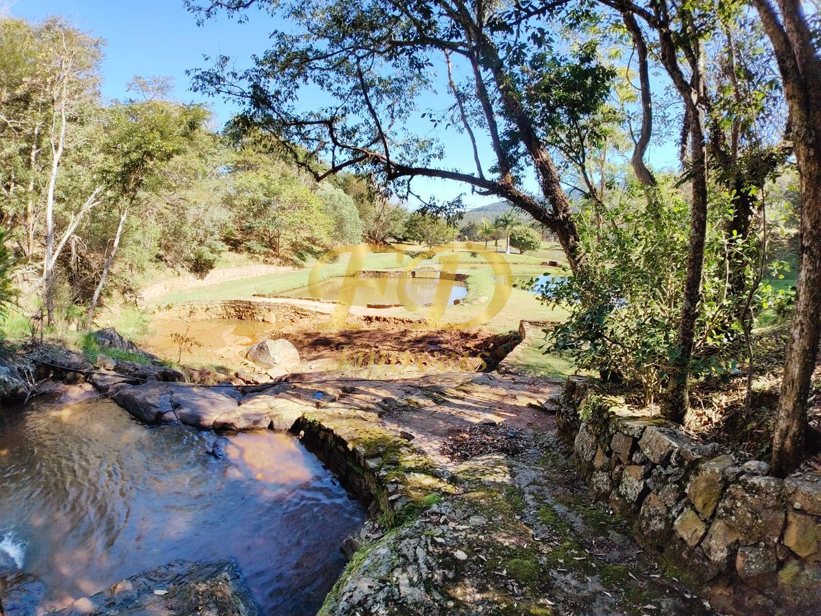 Fazenda à venda com 3 quartos, 500m² - Foto 16