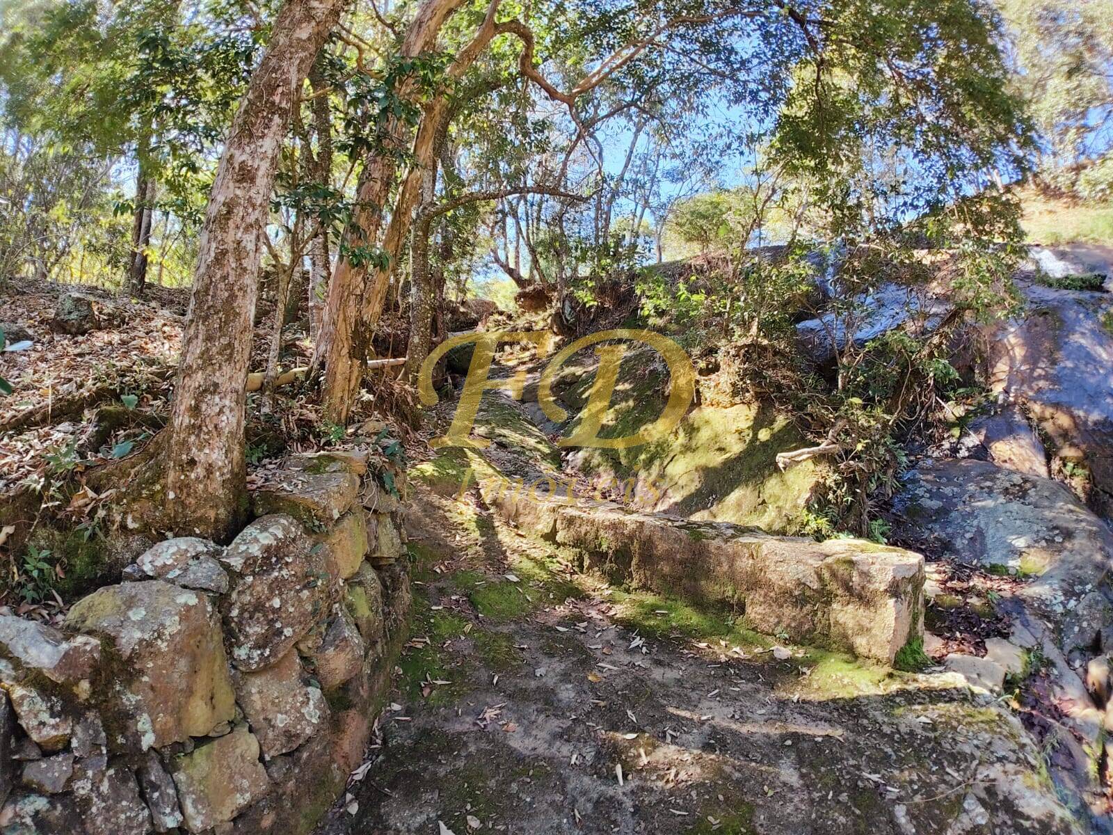 Fazenda à venda com 3 quartos, 500m² - Foto 18