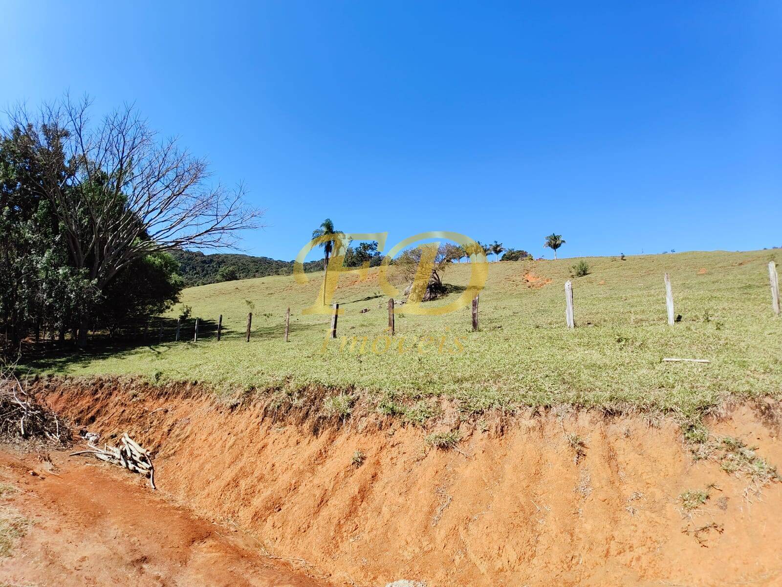 Fazenda à venda com 3 quartos, 500m² - Foto 39