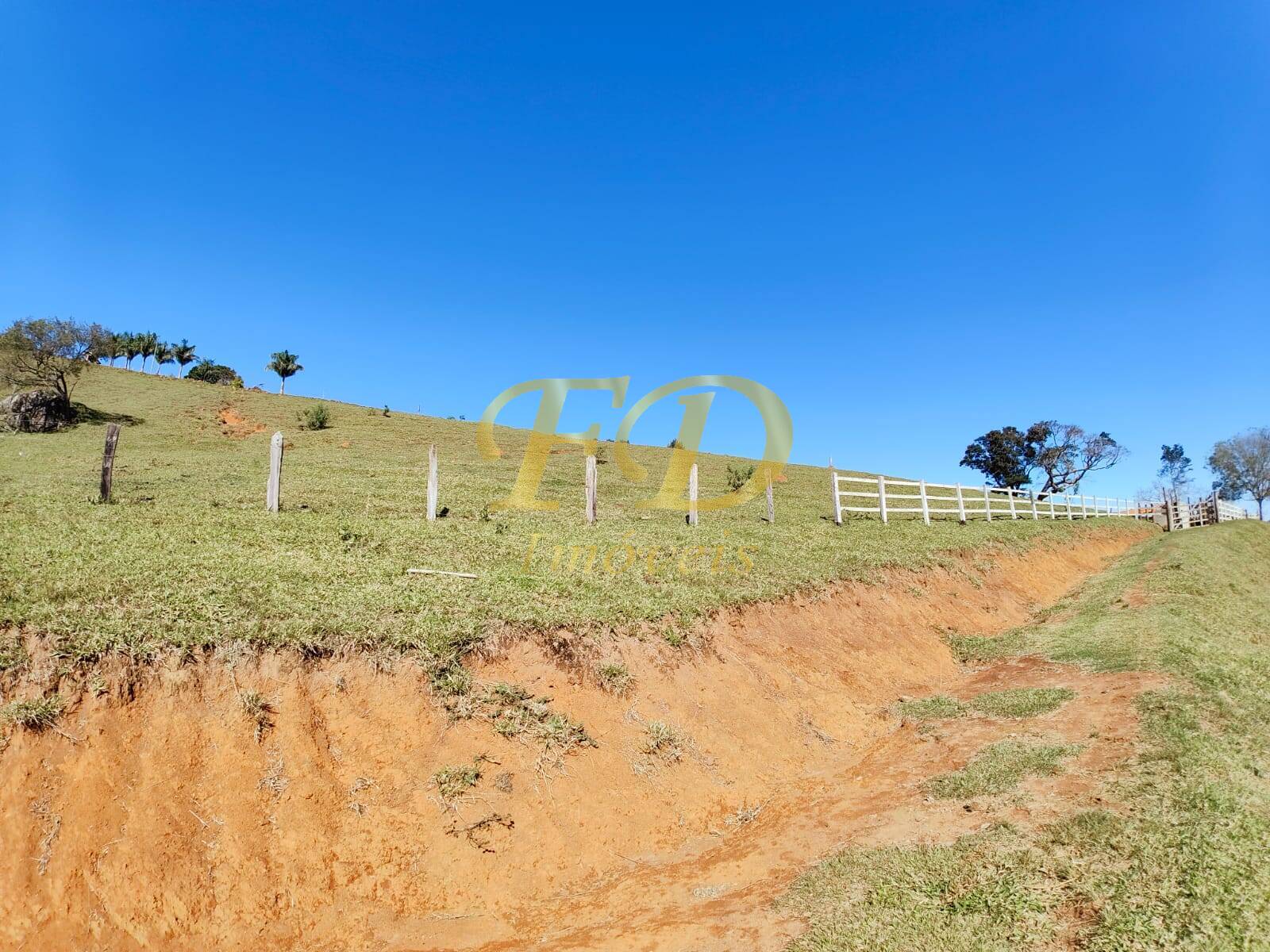 Fazenda à venda com 3 quartos, 500m² - Foto 37