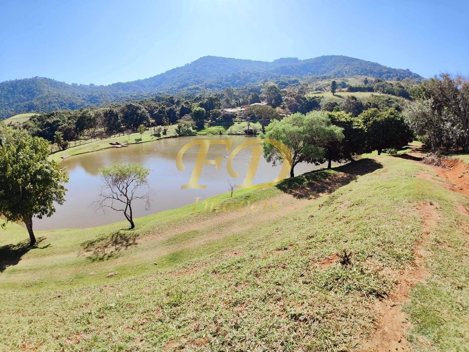 Fazenda à venda com 3 quartos, 500m² - Foto 40