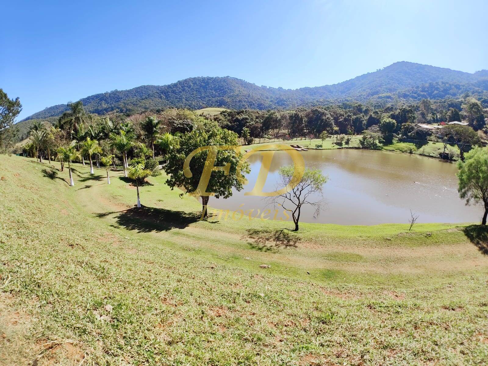 Fazenda à venda com 3 quartos, 500m² - Foto 41