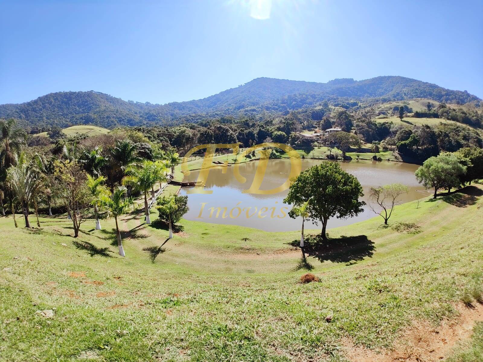 Fazenda à venda com 3 quartos, 500m² - Foto 46