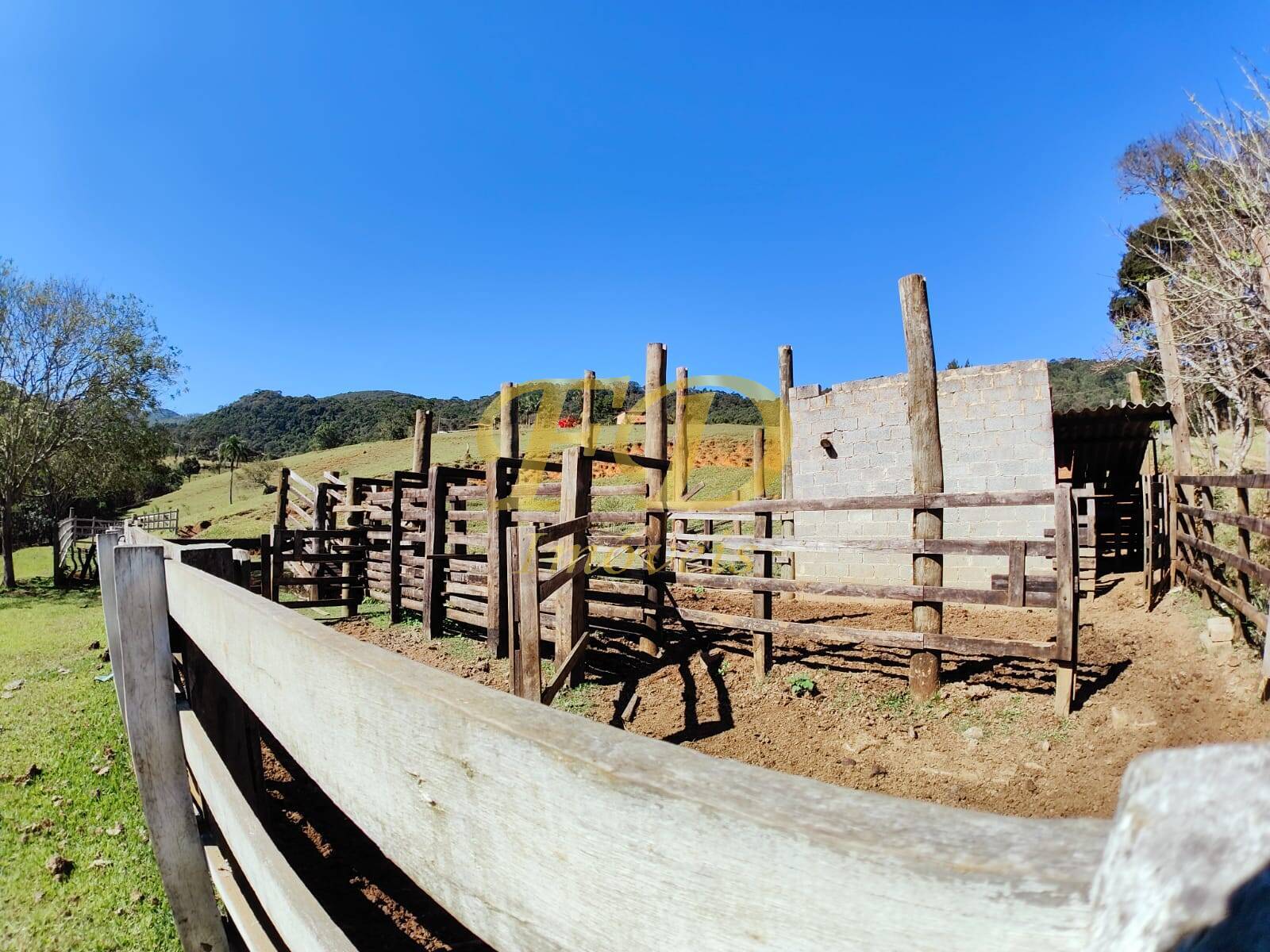 Fazenda à venda com 3 quartos, 500m² - Foto 48