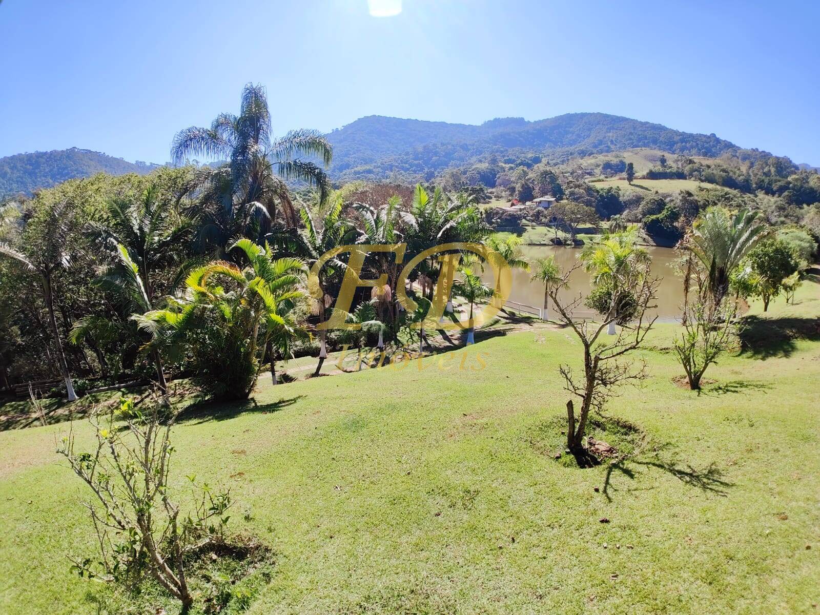 Fazenda à venda com 3 quartos, 500m² - Foto 49