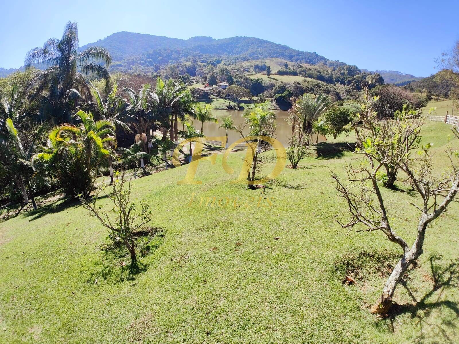 Fazenda à venda com 3 quartos, 500m² - Foto 52