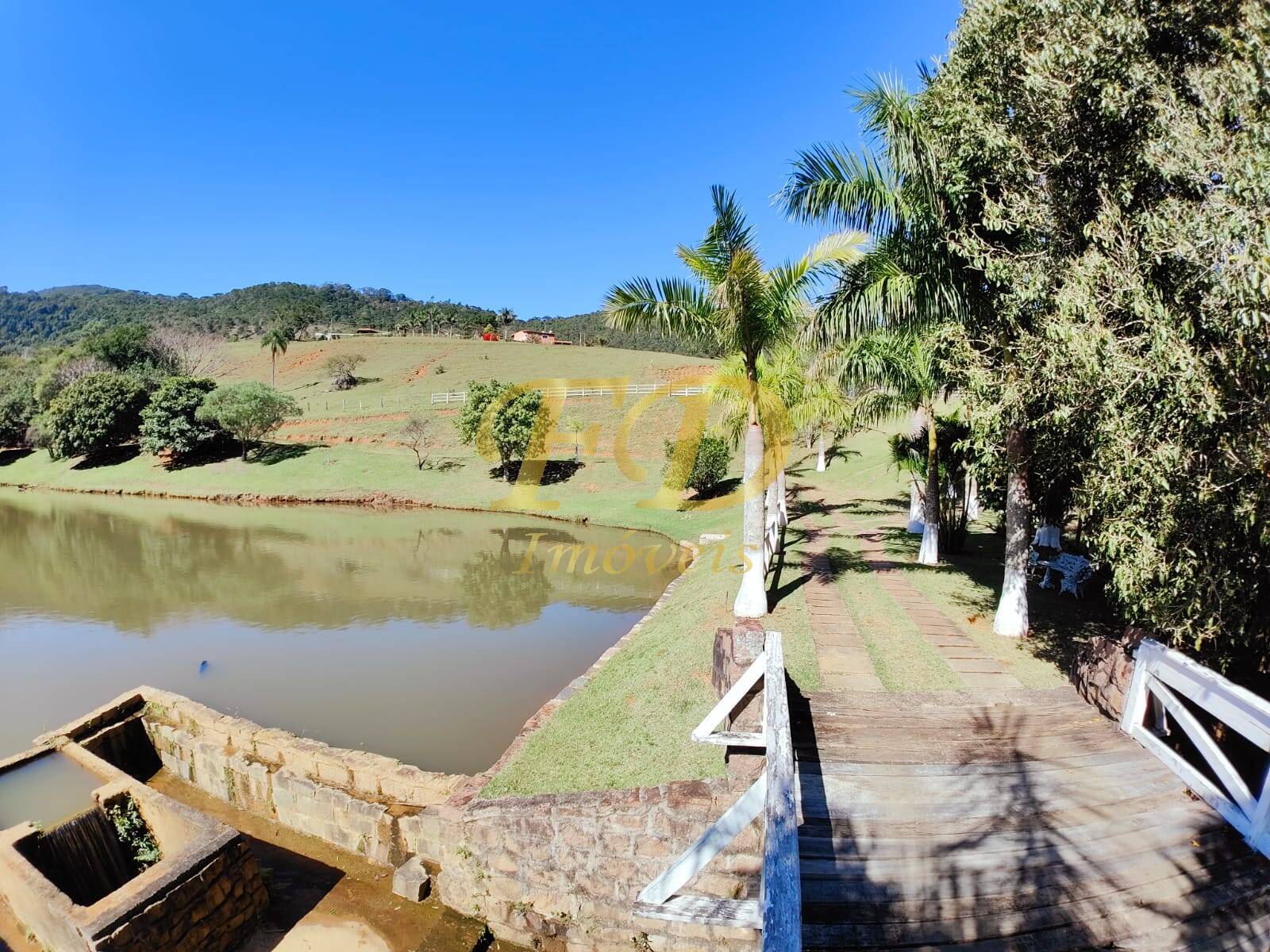 Fazenda à venda com 3 quartos, 500m² - Foto 60