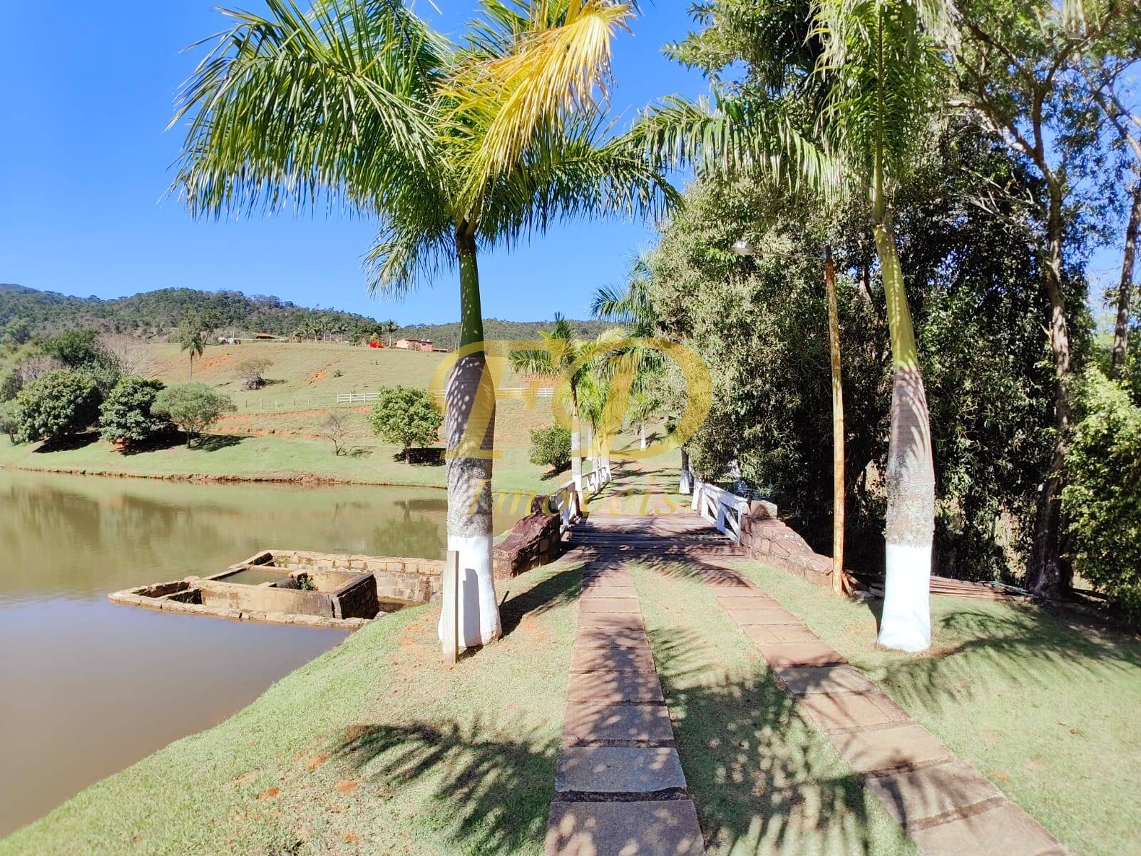 Fazenda à venda com 3 quartos, 500m² - Foto 62