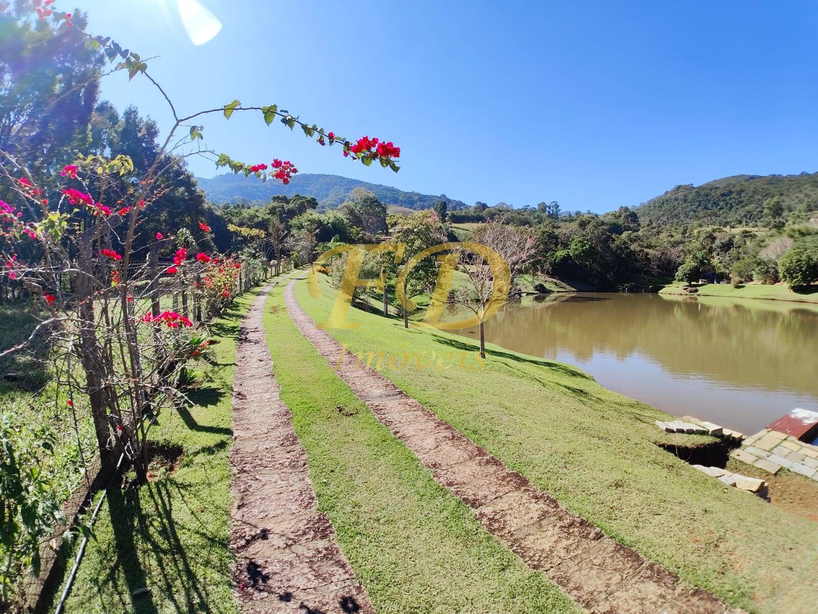 Fazenda à venda com 3 quartos, 500m² - Foto 65