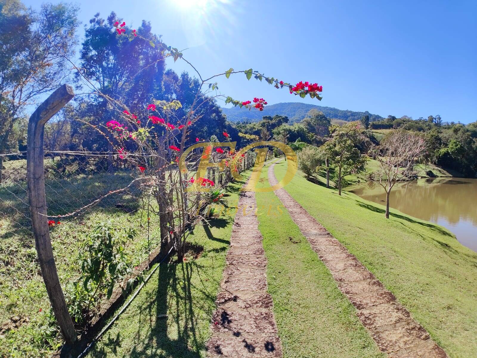 Fazenda à venda com 3 quartos, 500m² - Foto 66