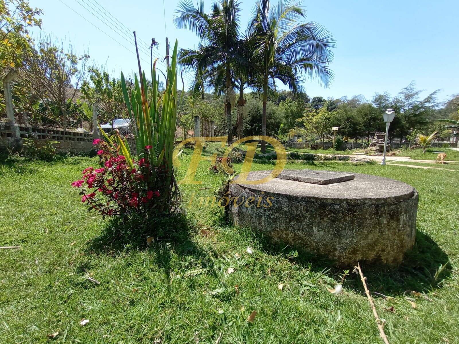 Fazenda à venda com 2 quartos, 80m² - Foto 31