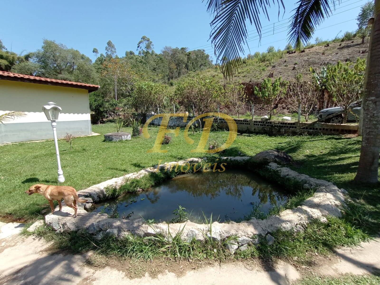 Fazenda à venda com 2 quartos, 80m² - Foto 3