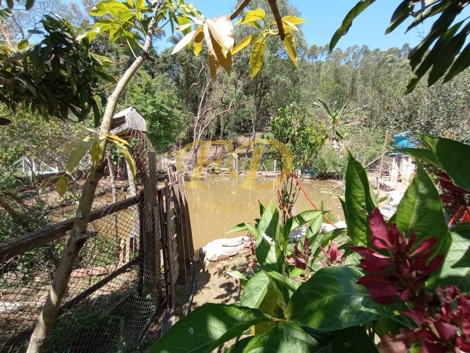 Fazenda à venda com 2 quartos, 80m² - Foto 40