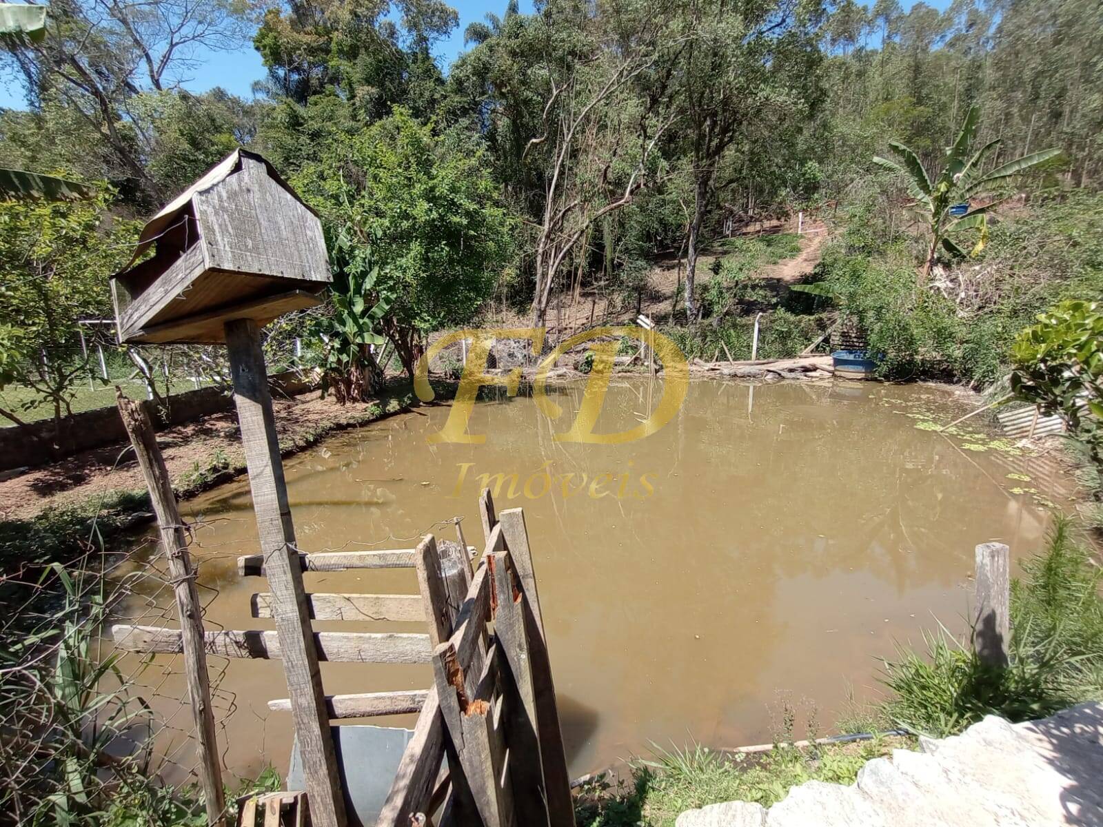 Fazenda à venda com 2 quartos, 80m² - Foto 38