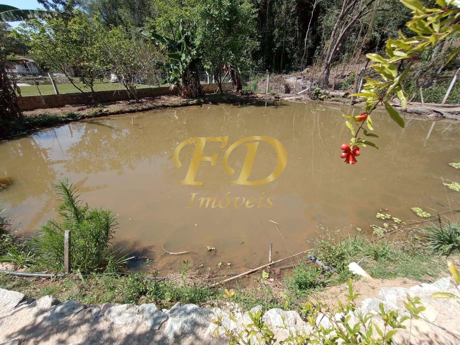 Fazenda à venda com 2 quartos, 80m² - Foto 42