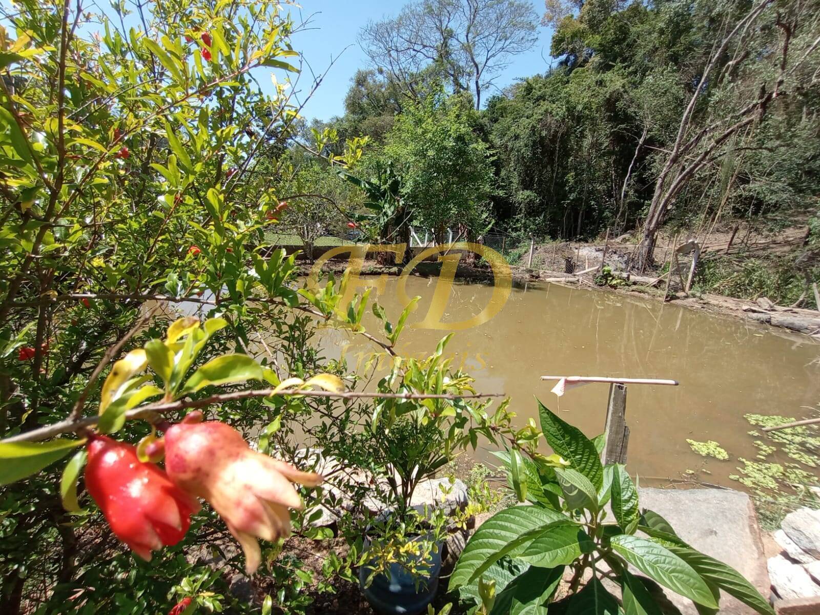 Fazenda à venda com 2 quartos, 80m² - Foto 45