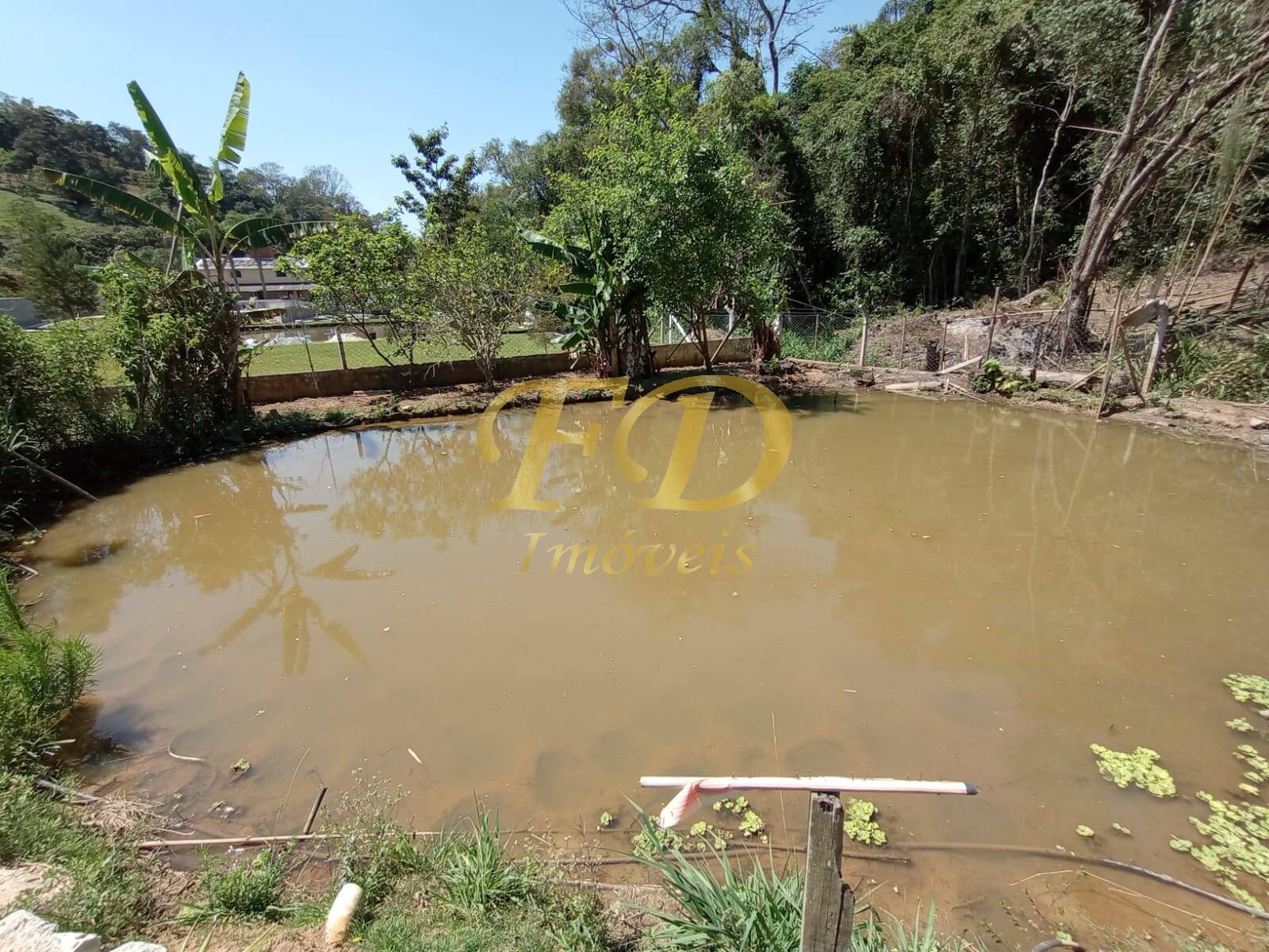 Fazenda à venda com 2 quartos, 80m² - Foto 47