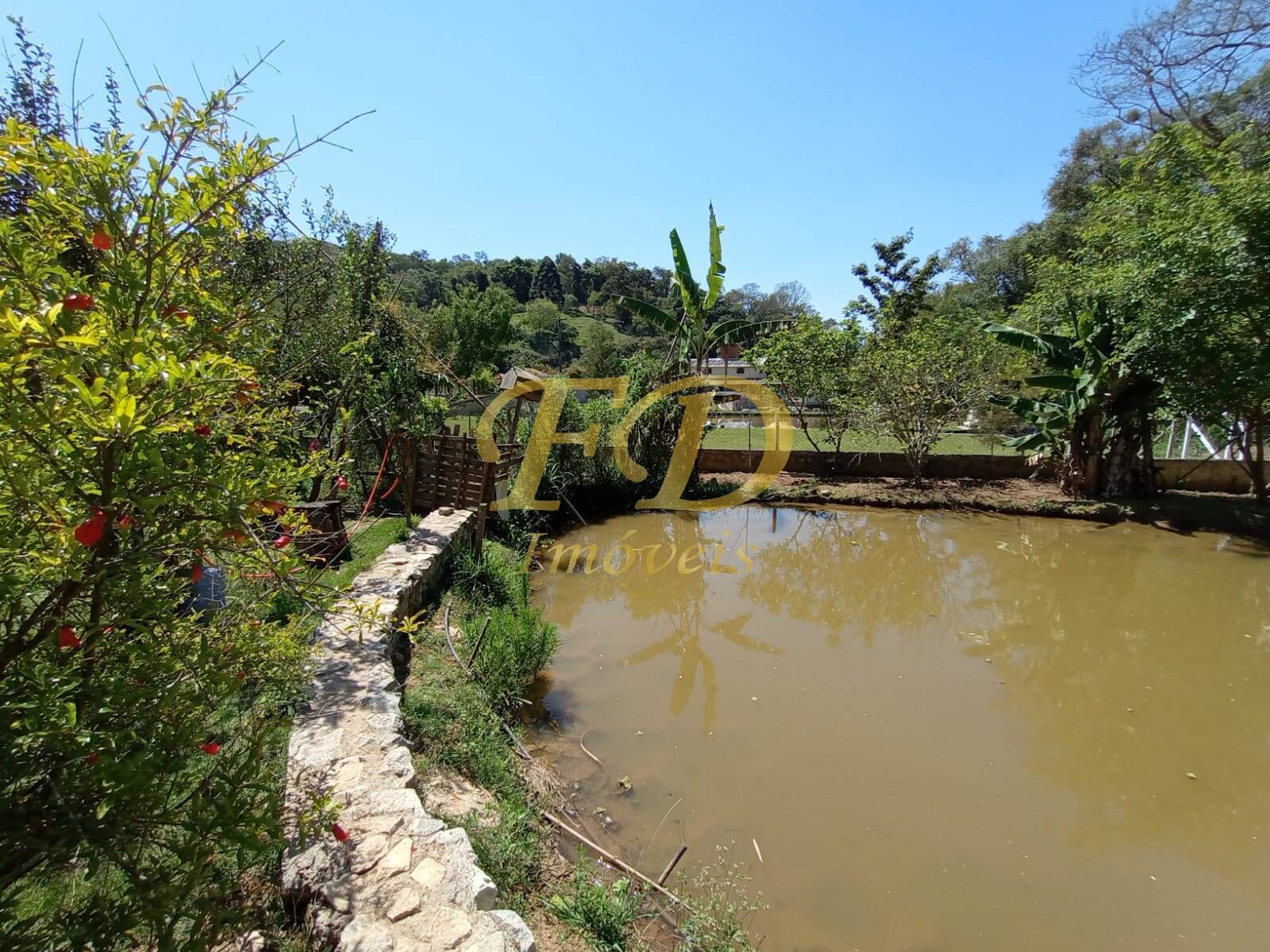 Fazenda à venda com 2 quartos, 80m² - Foto 48