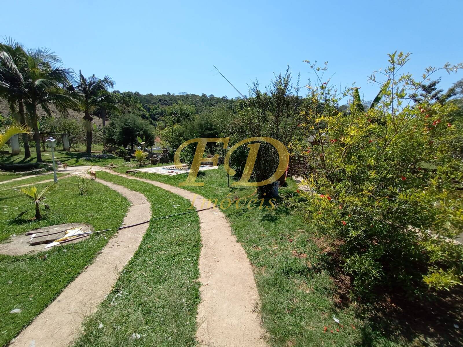 Fazenda à venda com 2 quartos, 80m² - Foto 49