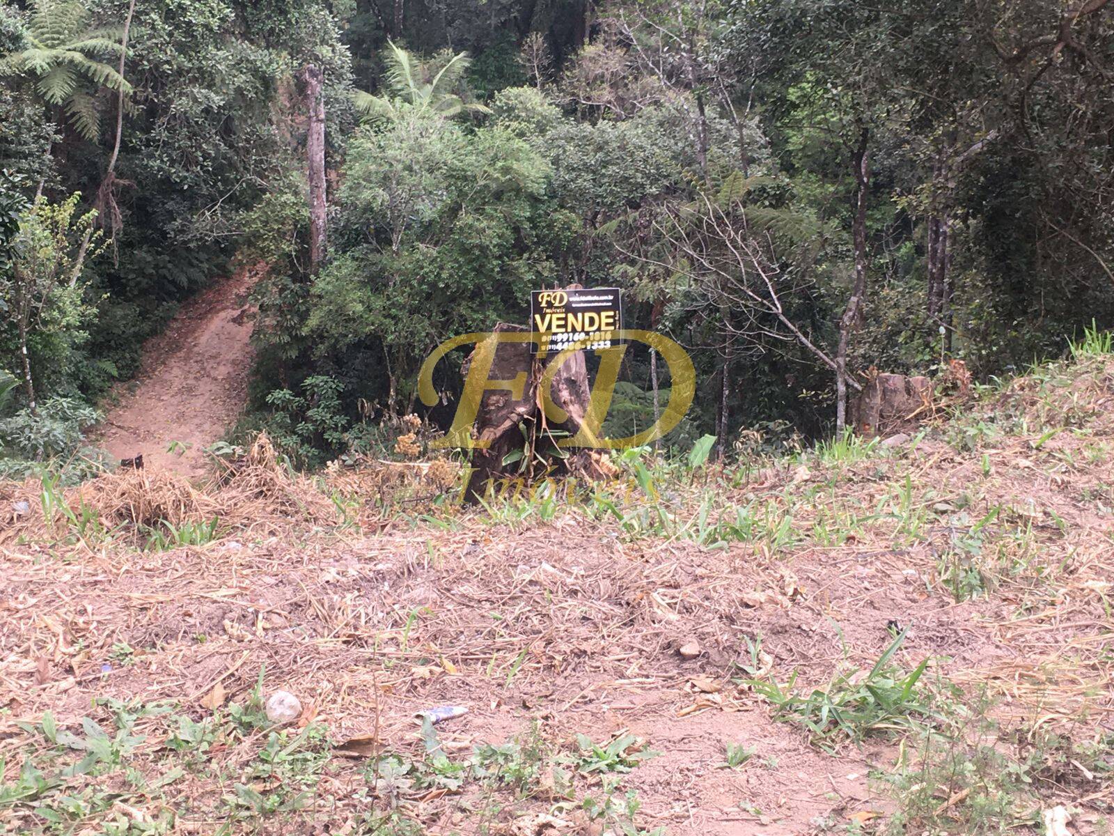 Terreno à venda, 300m² - Foto 4