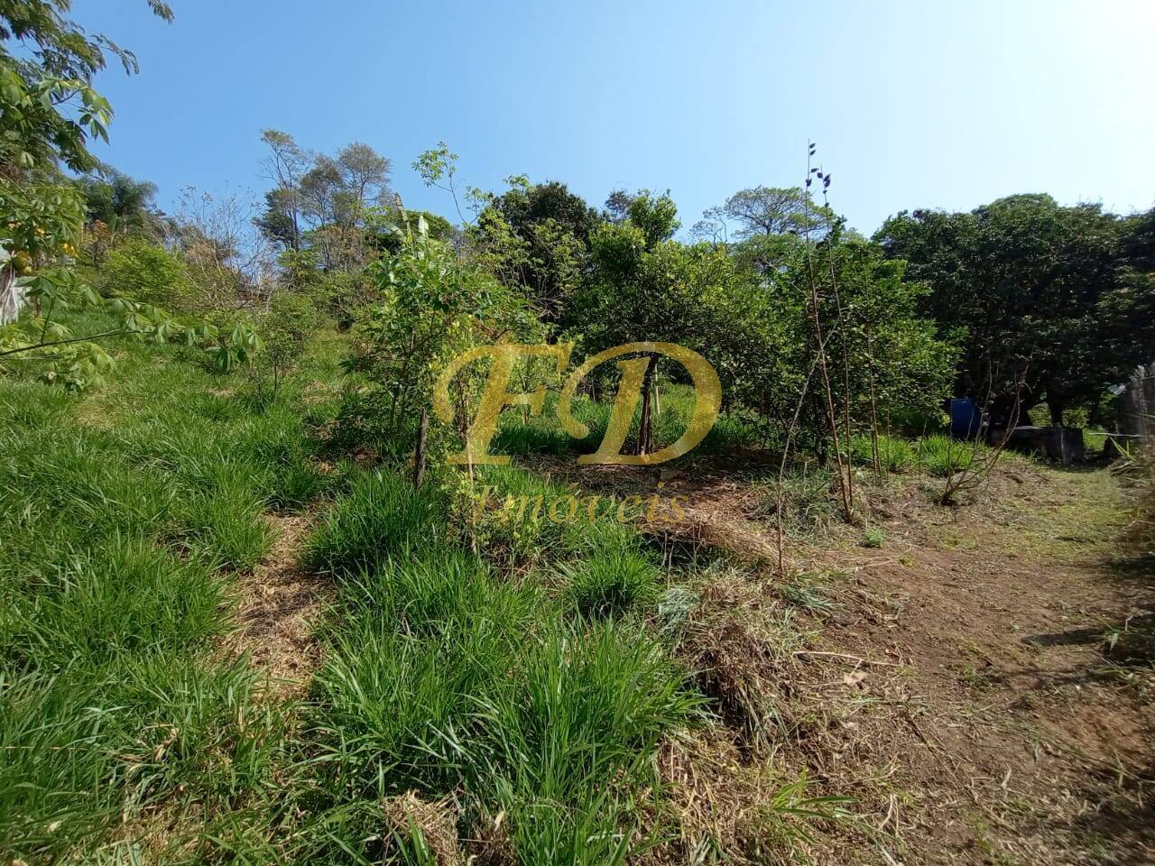 Fazenda à venda com 2 quartos, 500m² - Foto 23