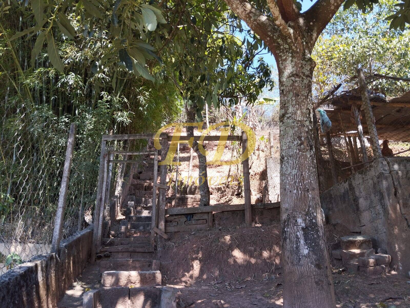 Fazenda à venda com 4 quartos, 1565m² - Foto 6